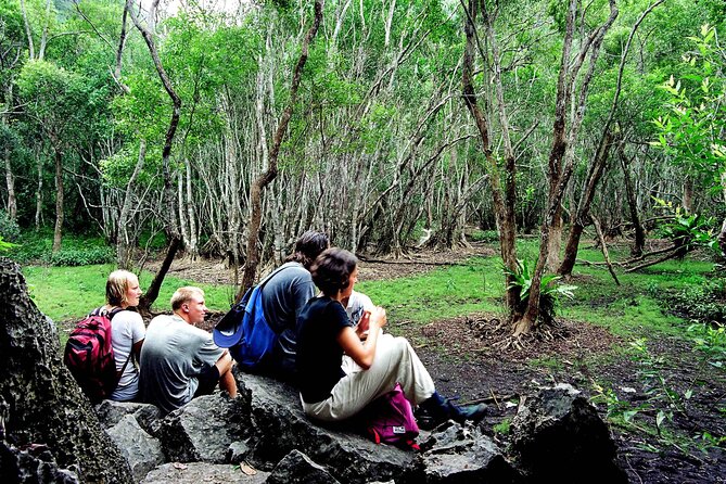 Halfday trekking Cat Ba Butterfly valley (more intense) - Cat Ba National Park and its wild residents