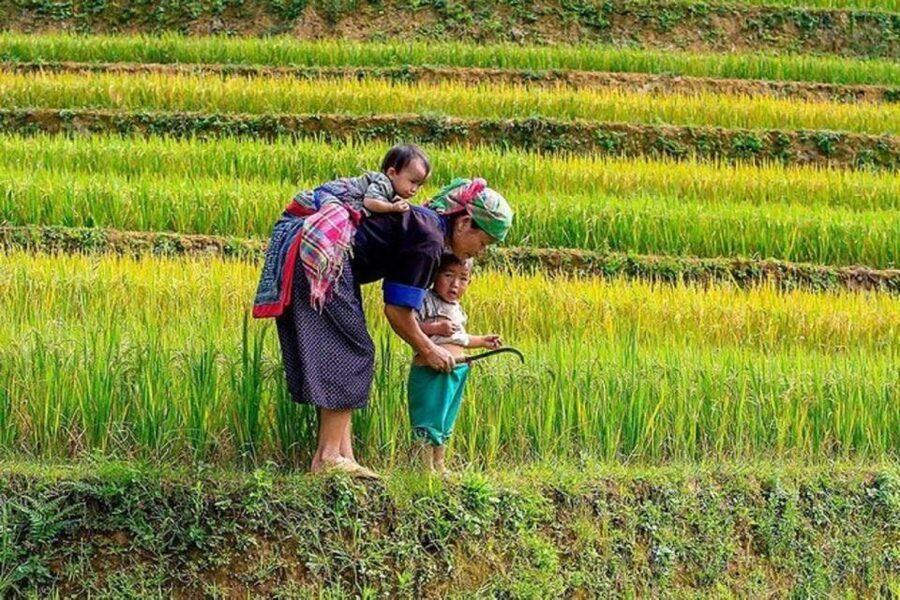 Hanoi: 2-Day Sa Pa Guided Village & Homestay Trekking Tour - Why this Sa Pa route is worth two days