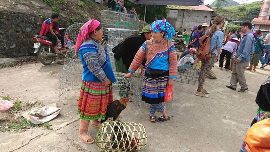 Hanoi: 2-Day Sa Pa Guided Village & Homestay Trekking Tour - Y Linh Ho to Lao Chai, about 9 kilometers