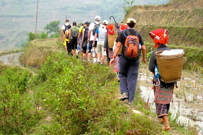 Hanoi- 2 Days Sapa moutain trekking with Local Guide and Homestay - The second morning through bamboo and rice fields