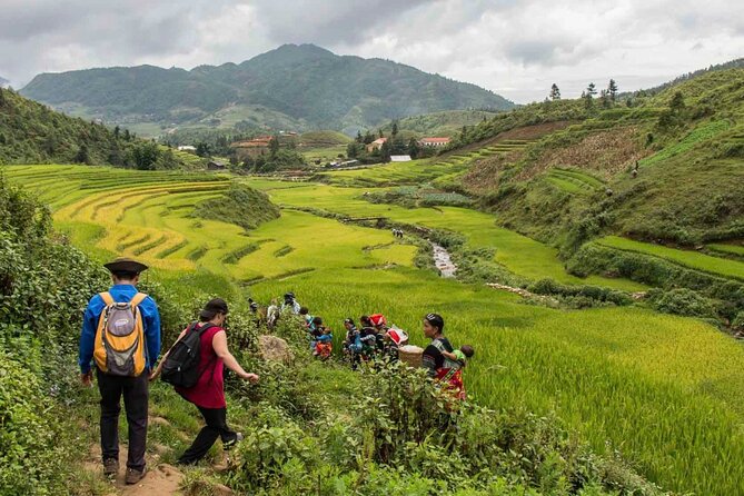 Hanoi- 2 Days Sapa moutain trekking with Local Guide and Homestay - Returning to Sapa and the long ride back