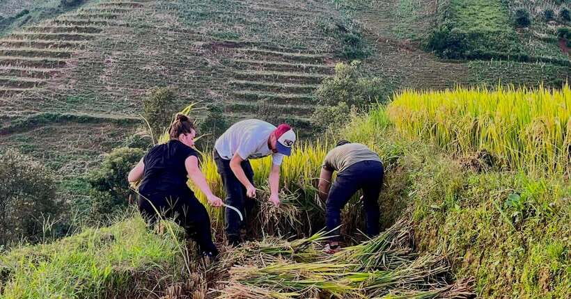 Hanoi: 3-Day Mu Cang Chai Trekking, Hidden Trail, Local Life - Should you book it?