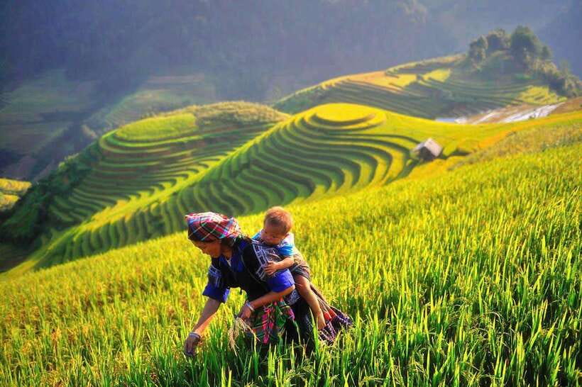 Hanoi: 3-Day Mu Cang Chai Trekking, Hidden Trail, Local Life - La Pan Tan and Chế Cu Nha: the heart of the walking route