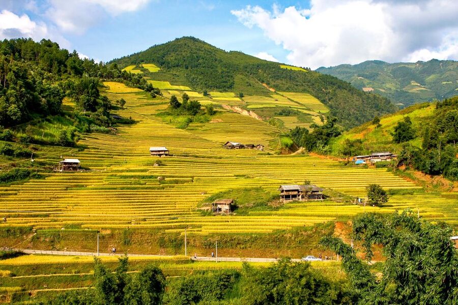 Hanoi: 3-Day Sapa Trek with Homestay - The guide, group size, and local contact