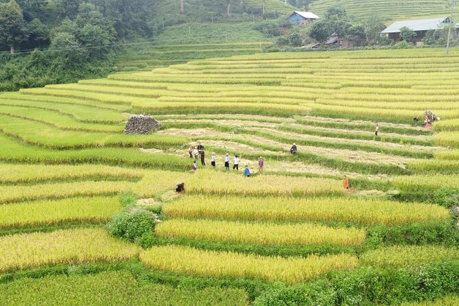 Hanoi - Sapa 2 Days 1 Night Overnight At Local Homestay - A short free hour in Sapa