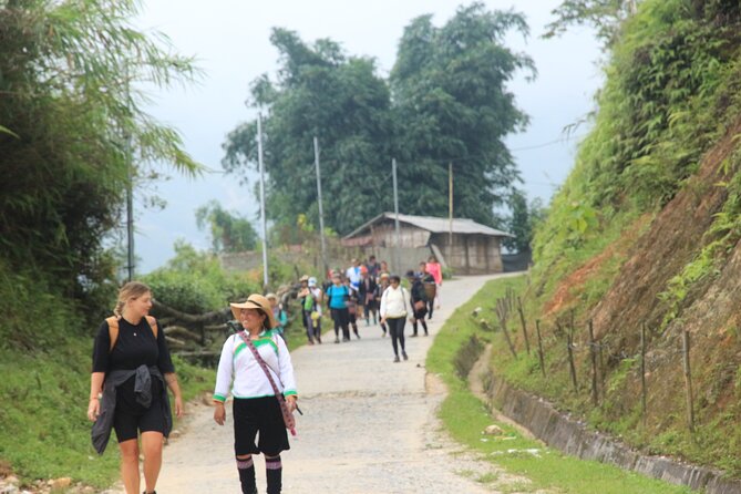 Hanoi - Sapa 3 Day 2 Night Trekking With Hotel & Homestay - How good is the transport from Hanoi?