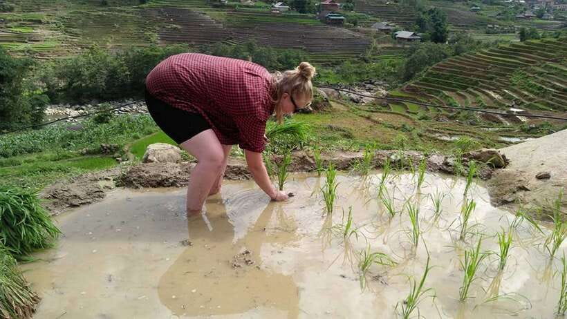 Hanoi- SaPa: 3-Day Homestay Trek to Explore Ethnic cultures - Night one in Ta Van