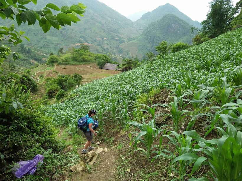 Hanoi- SaPa: 3-Day Homestay Trek to Explore Ethnic cultures - Night two and the best cultural moments