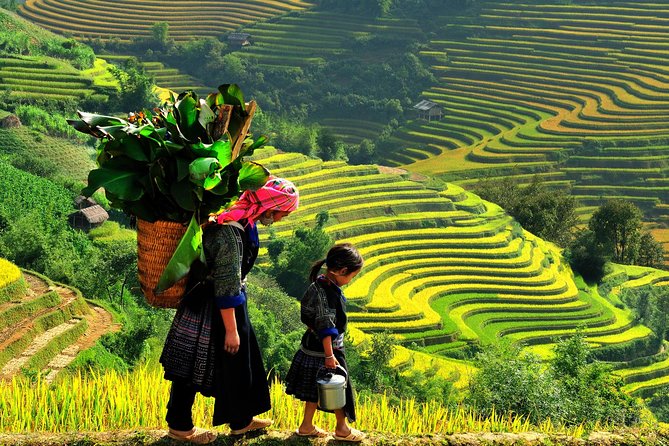 Hanoi-Sapa Trek 2 days 2 nights in Hotel with small group - The long walk through Y Linh Ho and Lao Chai
