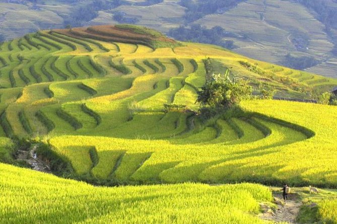 Hanoi-Sapa Trek 2 days 2 nights in Hotel with small group - Ta Van village and the Dzay connection