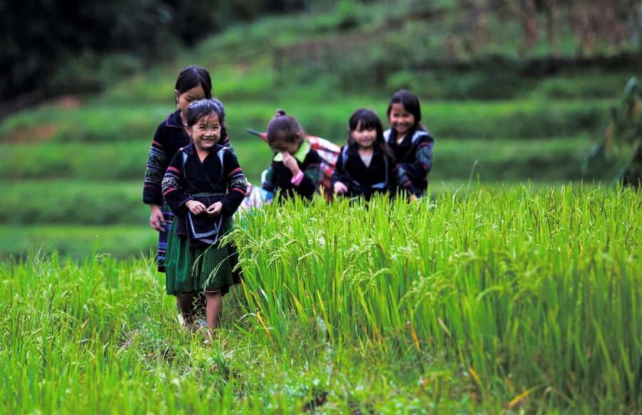Hanoi: Sapa Trekking 2 Days 1 Night Overnight in Village - The Guide and Group Experience