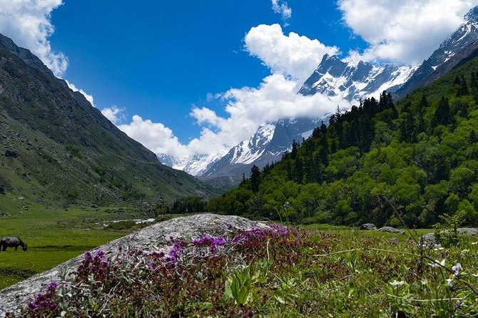 Har Ki dun Trek by Himalaya Shelter - Key points to know before you book