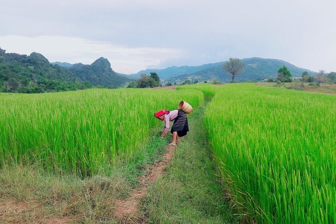 Hello, who like to make fantastic trek with the most experienced guide in Kalaw. - Price and what the $15.39 covers