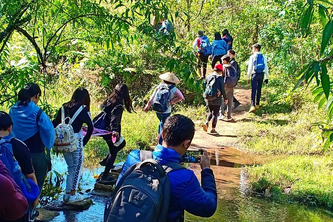 Hello, who like to make fantastic trek with the most experienced guide in Kalaw. - Pine forest first, then open mountain country