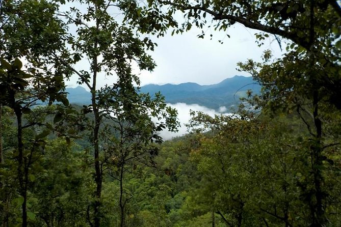 High Mountain Day Trek - The Value of $63
