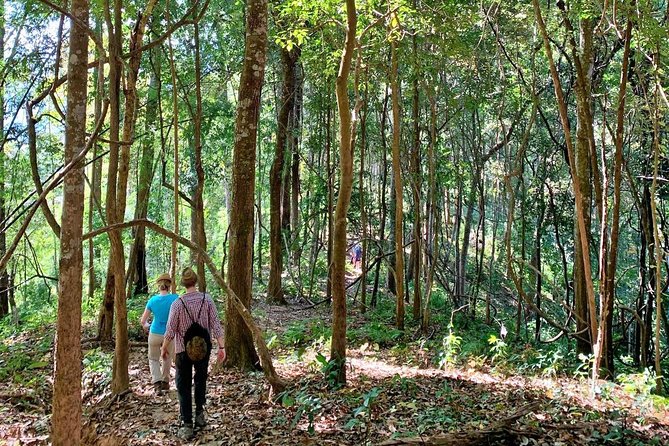 High Mountain Day Trek - Who Will Enjoy This Trek Most?