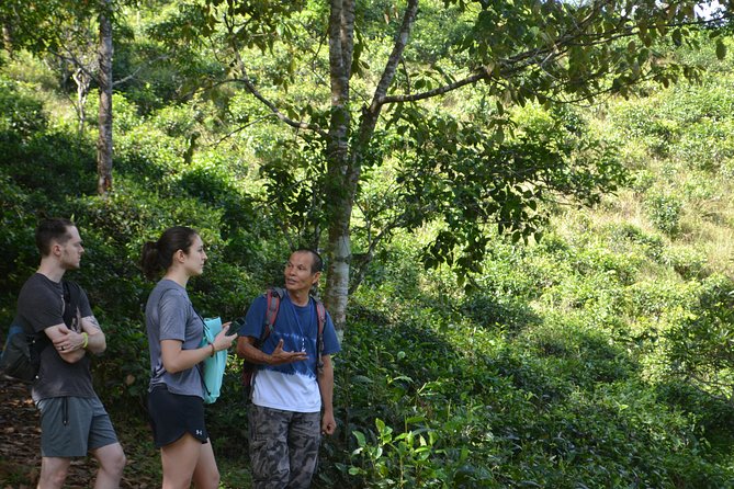 High Mountain Day Trek - Should You Book the High Mountain Day Trek?