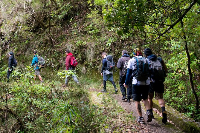 Hiking and Trekking tours in Madeira - Key points at a glance