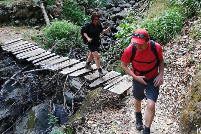 Hiking and Trekking tours in Madeira - What the small group changes
