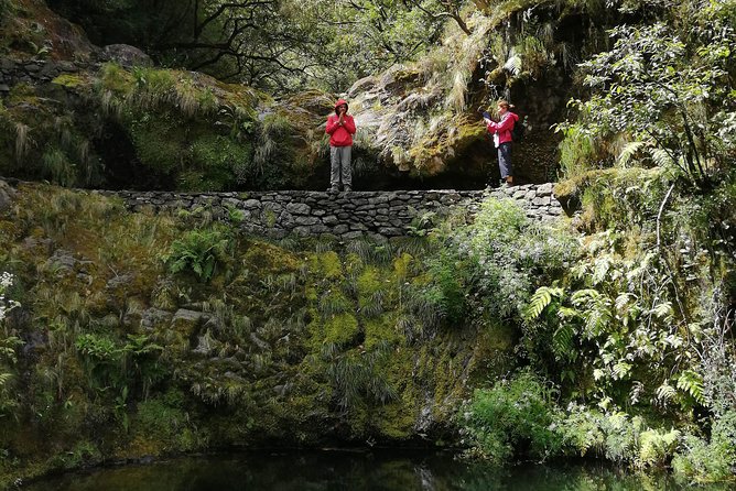 Hiking and Trekking tours in Madeira - Forest, volcanic scenery, and photo stops