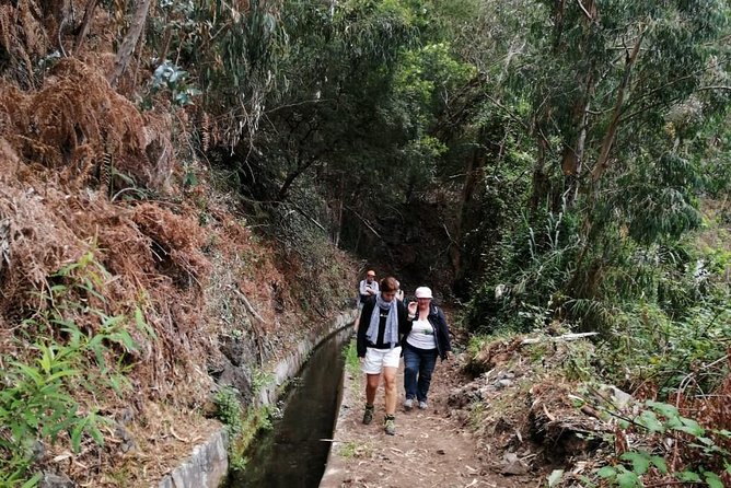 Hiking and Trekking tours in Madeira - Is $120.02 a fair price?