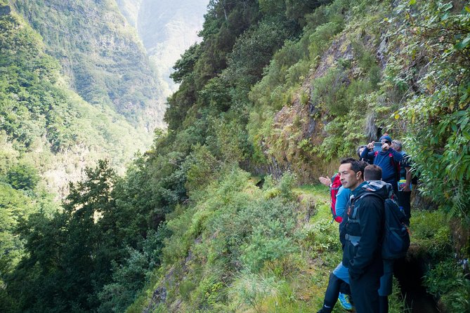 Hiking and Trekking tours in Madeira - Following one of Madeira’s forest trails