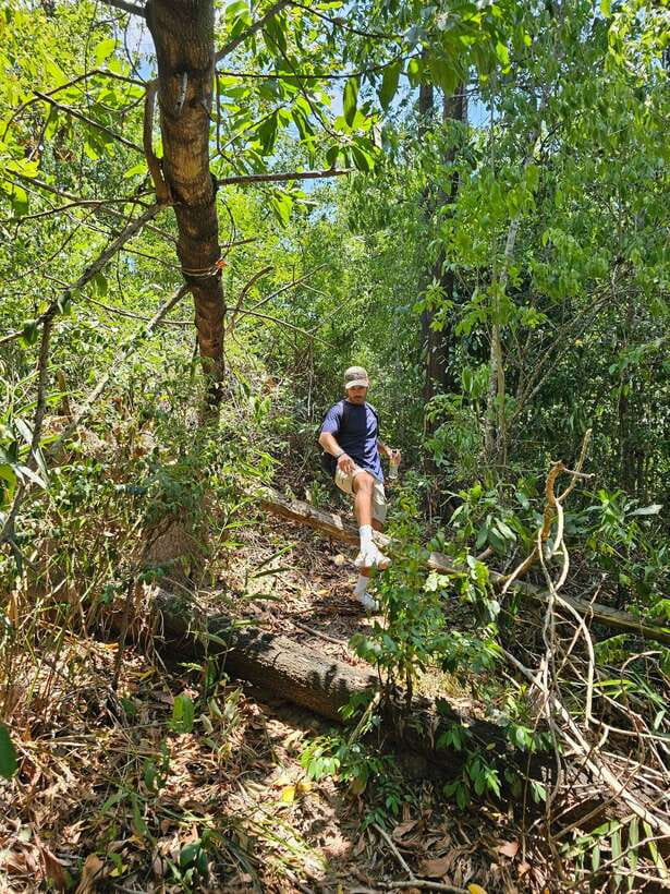 Hoi An: Amazing My Son Sanctuary and Mountain Trekking - Why the guide makes a difference