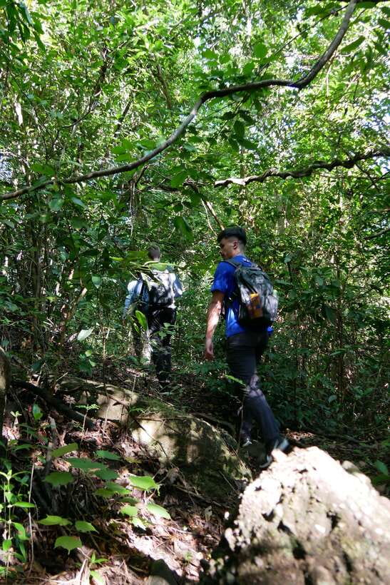 Hoi An: Amazing My Son Sanctuary and Mountain Trekking - Who should book this experience