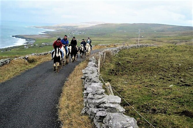 Horse riding - Dirt Trek Trail. Lisdoonvarna, Clare. Guided. 1 hour. - Meeting the horses at 2:00 pm