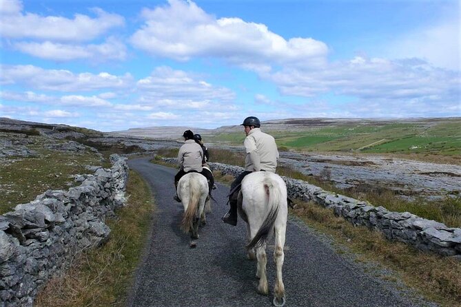 Horse riding - Dirt Trek Trail. Lisdoonvarna, Clare. Guided. 1 hour. - Riding through woodland and famine ruins