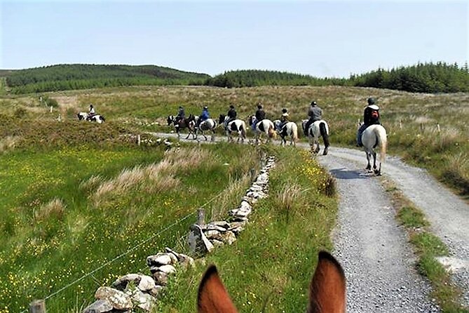Horse riding - Dirt Trek Trail. Lisdoonvarna, Clare. Guided. 1 hour. - The views toward Moher, the Aran Islands, and Connemara