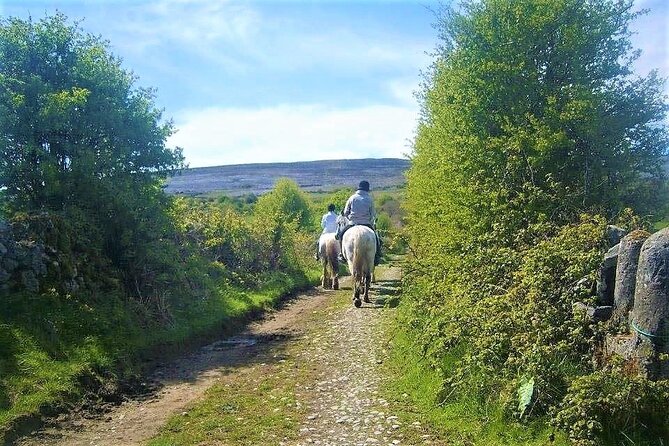 Horse riding - Dirt Trek Trail. Lisdoonvarna, Clare. Guided. 1 hour. - Is one hour enough?