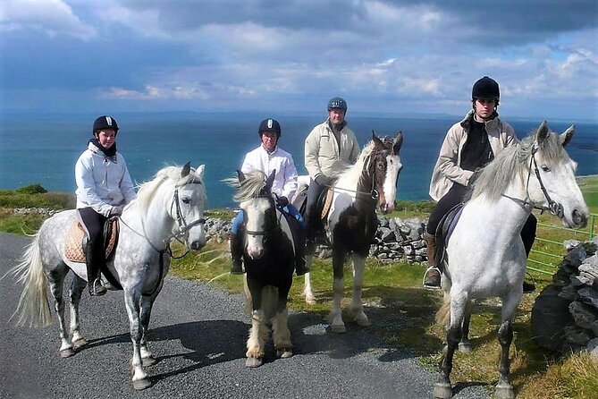 Horse riding - Dirt Trek Trail. Lisdoonvarna, Clare. Guided. 1 hour. - Why beginners are likely to feel comfortable