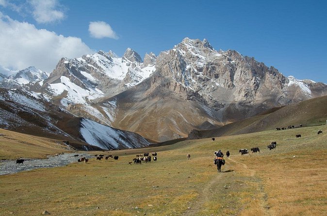 Horse Trek to Kel Suu Lake - Horses, guides, and the human side of the trip