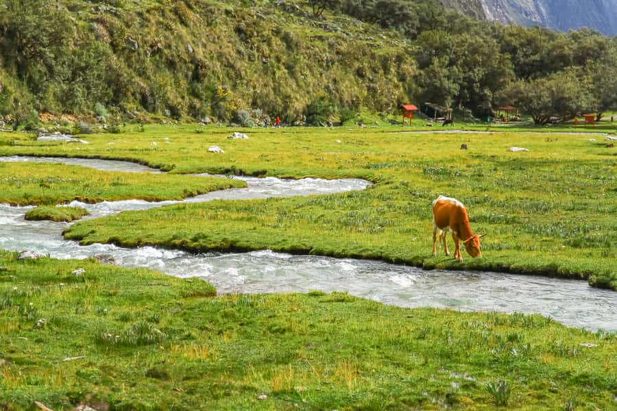 Huaraz: 3-hour Trek to Laguna 69 with Optional Lunch - Llanganuco Lakes and the Cordillera Blanca road