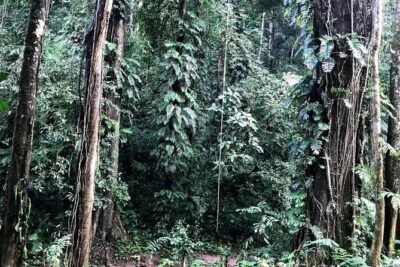 Hunter Trails, 3 days difficult trekking with Camping & Homestay