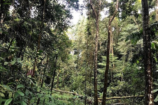 Hunter Trails, 3 days difficult trekking with Camping & Homestay - Is $175 a fair price?