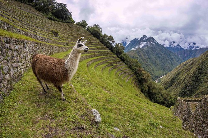 Inca Trail Trek to Machu Picchu - 2 Days (Small Group or Private) - Why the two-day Inca Trail works
