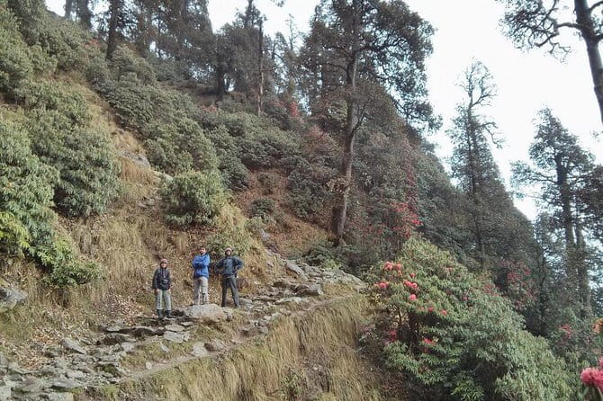 Indrahar Pass Trek with Manu Adventures India - What the camping package adds to the price