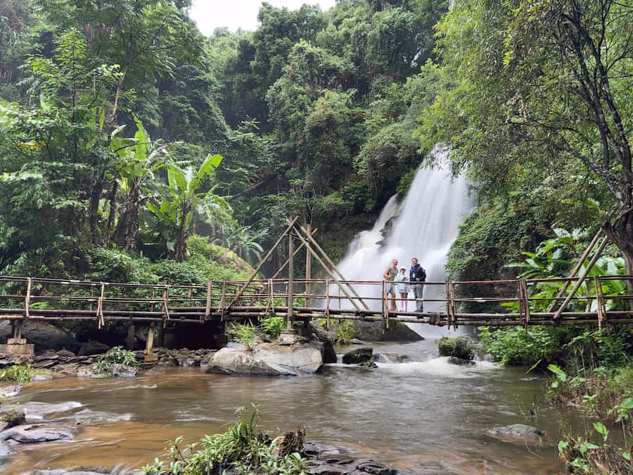 Inthanon national park, Trekking and Sightseeing in one day. - Why the forest walk is the heart of the day