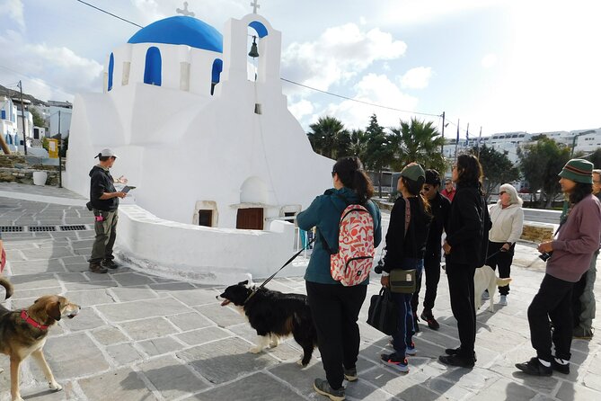 Ios Island Trekking Tours: Discover Ios Unexplored - What the private format means for your day