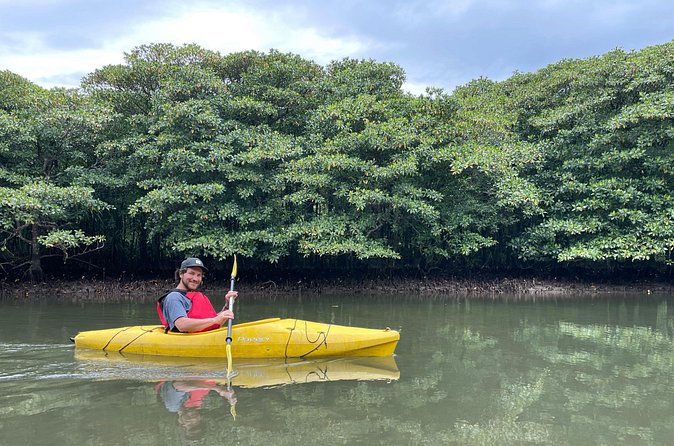 Iriomote’s Adventure: Pinaisara Falls Canoe and Trekking Tour - What the $110.76 price buys you