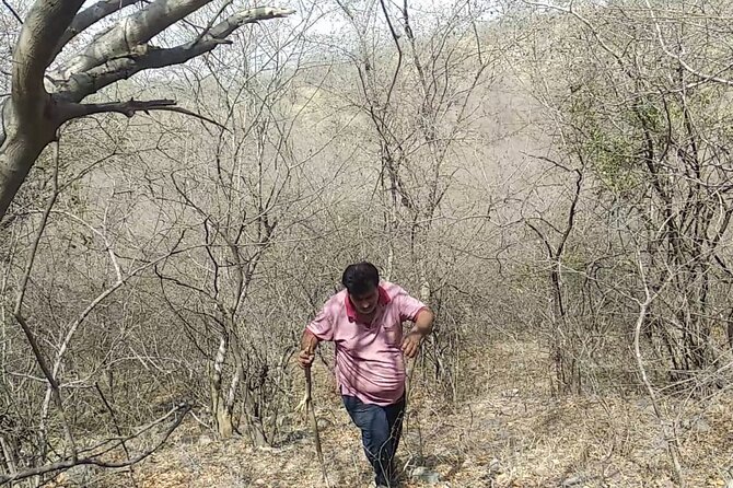 Jaipur Trekking and Hiking Tour with Guide - Practical details that affect your morning