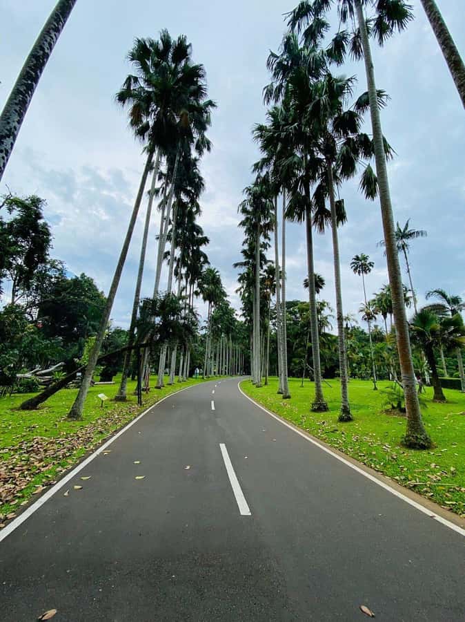 Jakarta: Botanical Garden & Rainforest Trekking to Waterfall - Who should book this day trip?