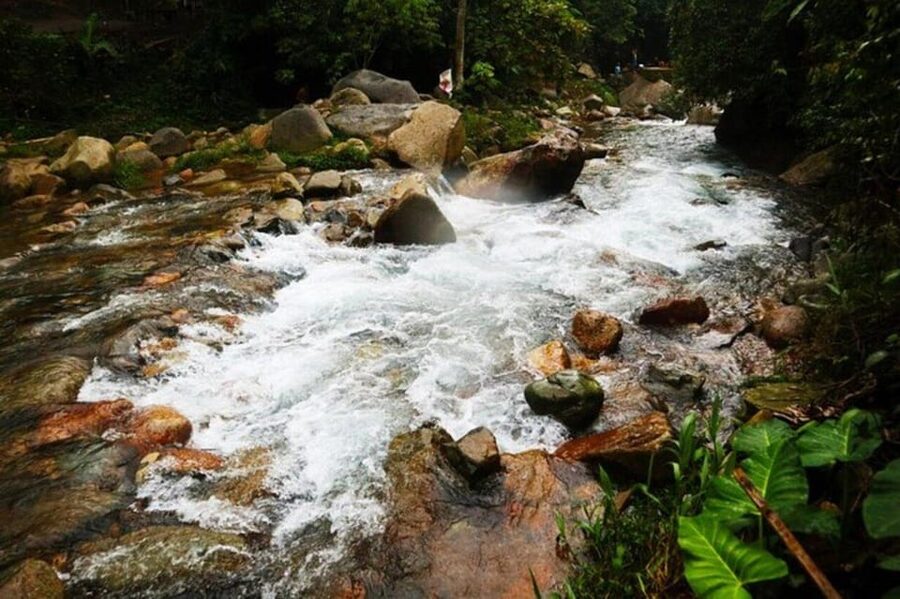 Jakarta: Botanical Garden & Rainforest Trekking to Waterfall - The 2.5-kilometer rainforest walk
