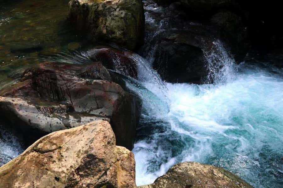 Jakarta: Botanical Garden & Rainforest Trekking to Waterfall - Timing, pickup, and the return to Jakarta