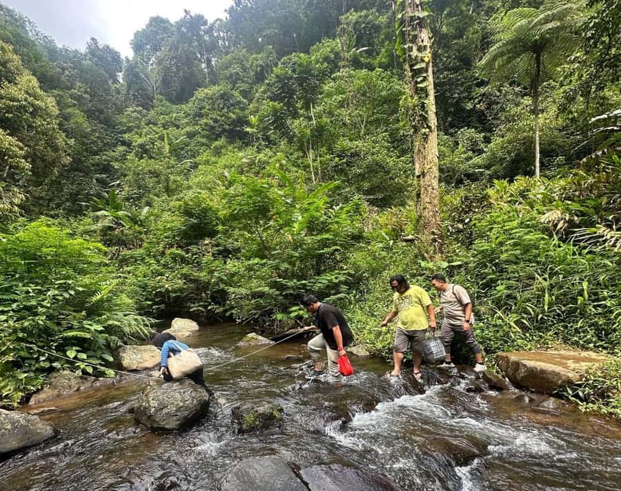 Jakarta: Botanical Garden & Rainforest Trekking to Waterfall - Bogor Botanical Garden, founded in 1817