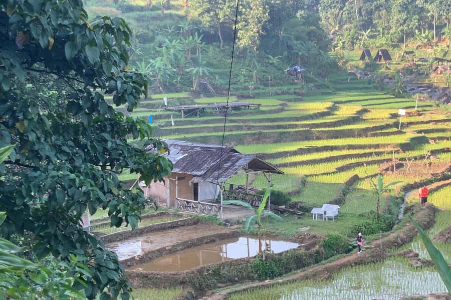 Jakarta: Sentul Pine Forest and Waterfall Trekking Tour - A one-hour water stop, with time to cool off