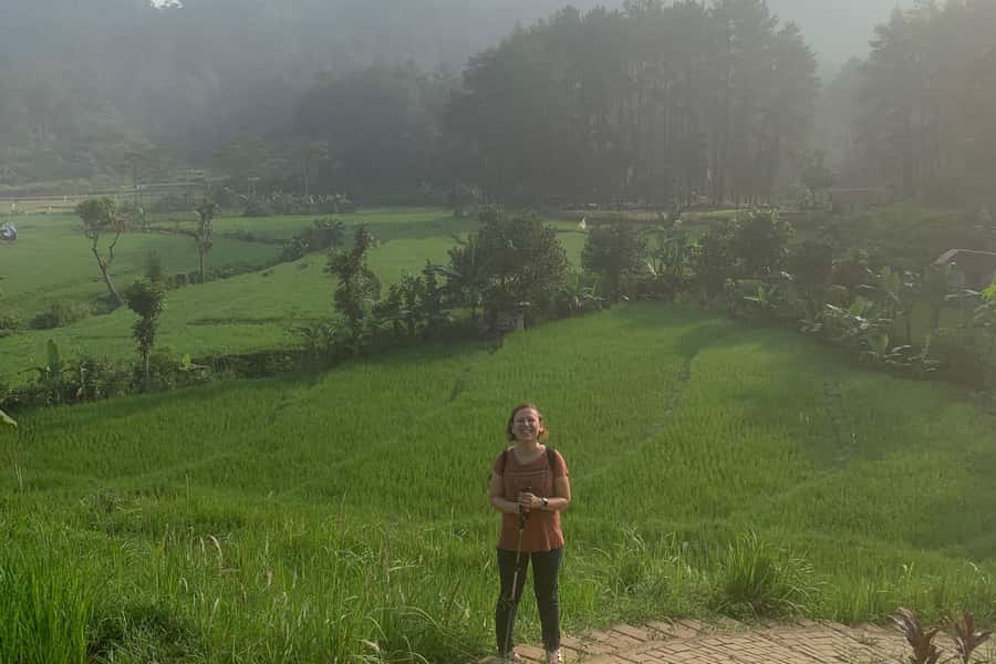 Jakarta: Sentul Pine Forest and Waterfall Trekking Tour - What the $89 price includes