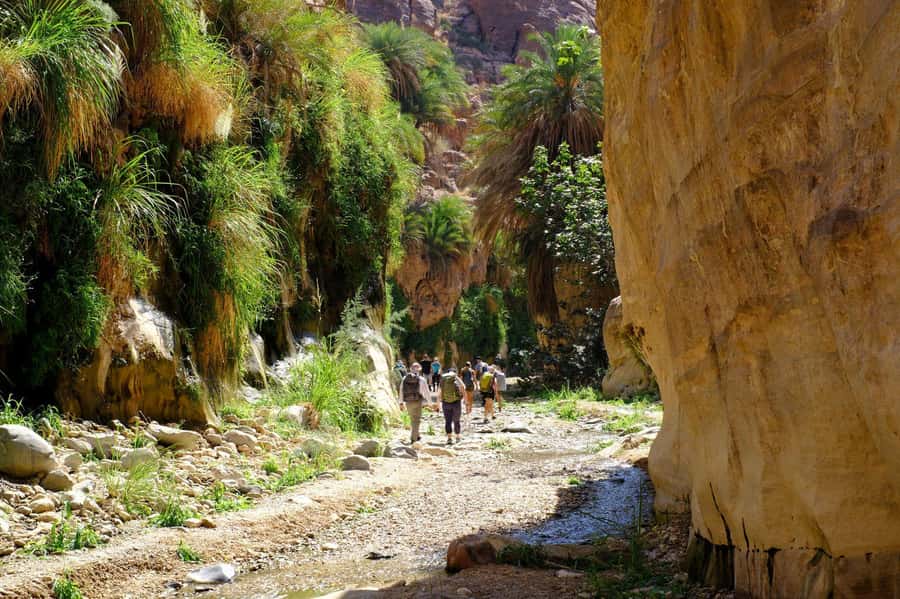 Jordan Trail: Dana to Petra 4-Day Trekking Tour - Food and Bedouin hospitality on the trail
